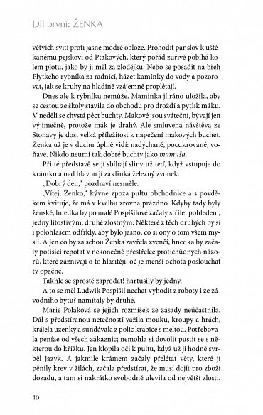 Náhled Šikmý kostel 2 - Románová kronika ztraceného města, léta 1921-1945