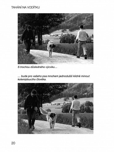 Náhled Tahání na vodítku