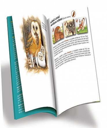 Náhled Pexetrio - Ptáci