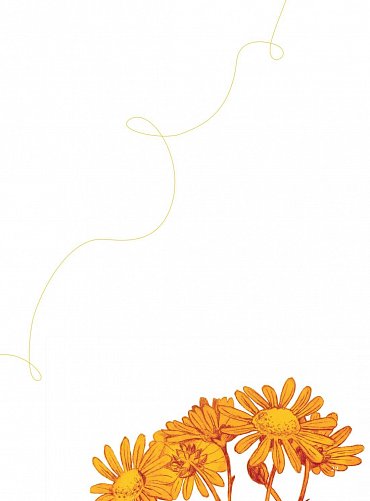 Náhled Kytice - luxusní anglické vydání