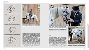 Náhled Akademické jezdecké umění