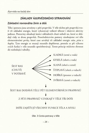 Náhled Ájurvéda na každý den