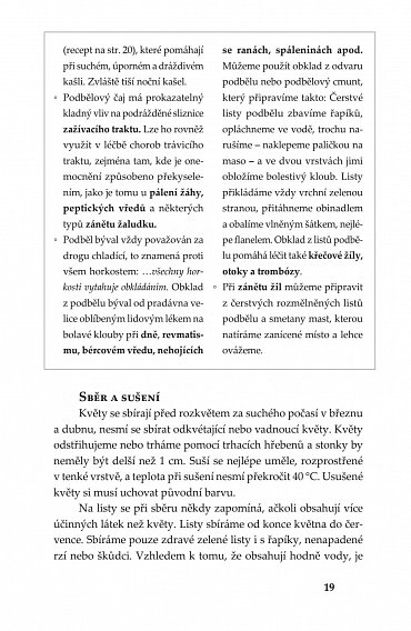 Náhled Bylinky - Léčivá moc přírody, 2.  vydání