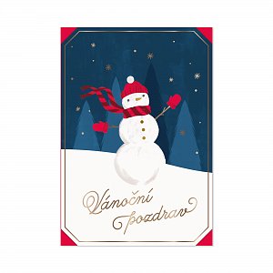 Vánoční přání - Sněhulák s kulichem a šálou