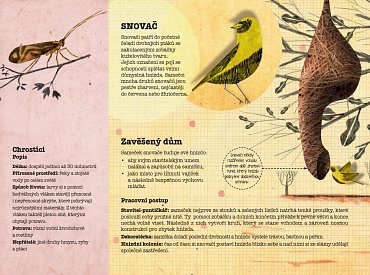 Náhled Zvířecí architekti