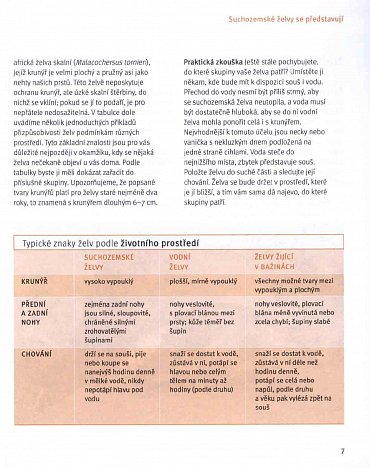 Náhled Suchozemské želvy - Svědkové pravěku v domácím teráriu