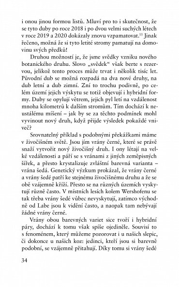 Náhled Než stromům dojde dech - Jak se stromy učí zvládat změnu klimatu a proč nás les zachrání, když mu to dovolíme
