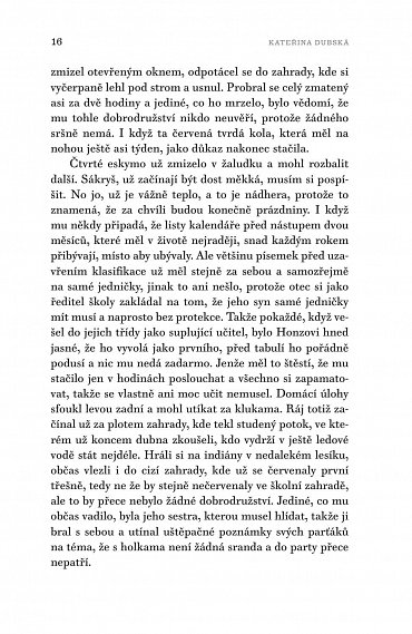 Náhled Hendrixova kytara