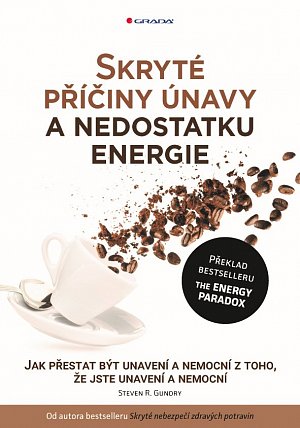 Skryté příčiny únavy a nedostatku energie - Jak přestat být unavení a nemocní z toho, že jste unavení a nemocní