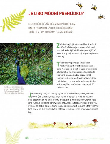 Náhled Víš, kde bydlí zvířata? - Poznáváme život na loukách a v lesích