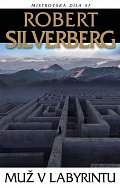 Muž v labyrintu