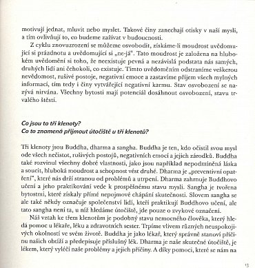 Náhled Buddhismus pro začátečníky