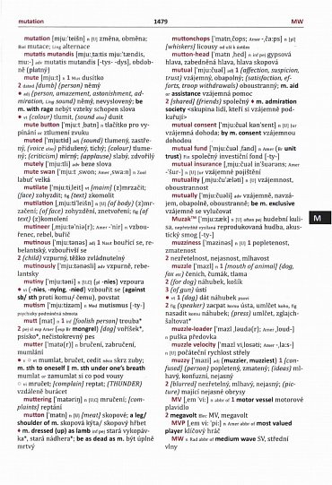 Náhled Velký AČ slovník - Fronek (2 knihy)