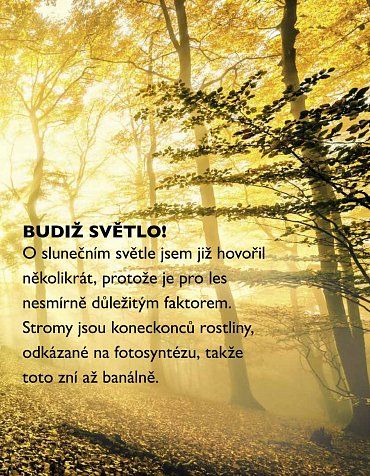 Náhled Tajný život stromů - Co cítí a jak komunikují