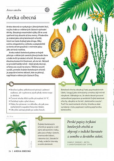 Náhled Pozoruhodný svět stromů