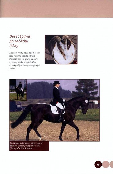 Náhled Když koně mají problémy - Celostní léčba koní v praxi