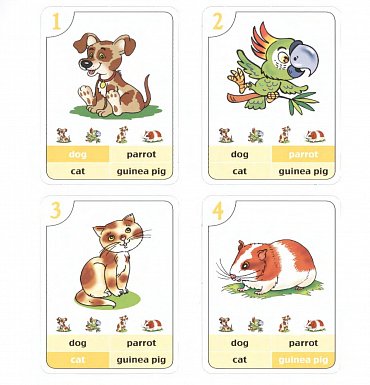 Náhled Angličtina KVARTETO - Audiokarty + CD (zvířata a rodina)