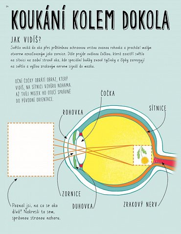 Náhled Tohle není věda - Knížka aktivit, kterou úča nesmí vidět