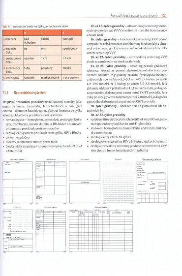 Náhled Moderní porodnictví