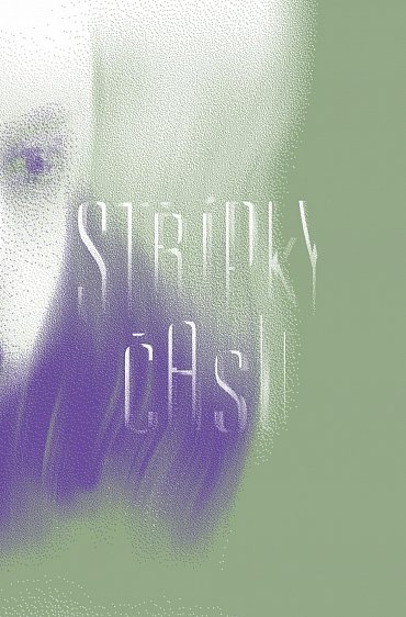 Náhled Střípky času