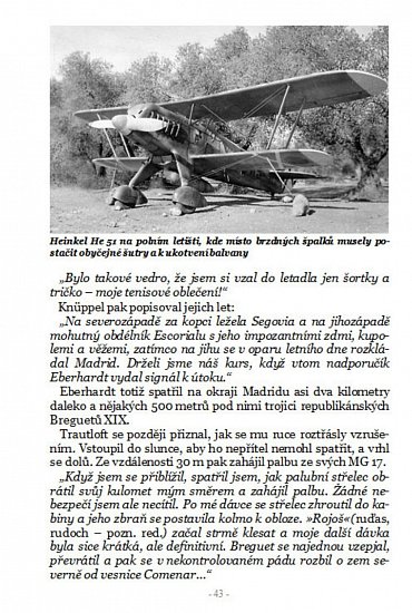 Náhled Pyrenejští Kondoři 2.