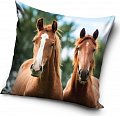 Dekorační polštářek Koně Hnědáci