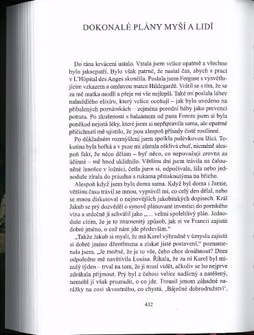 Náhled Vážka v jantaru