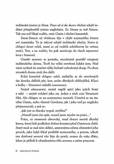 Náhled Ukradený totem