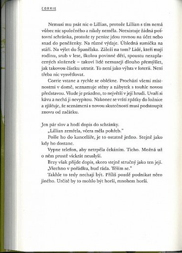 Náhled Drahý život