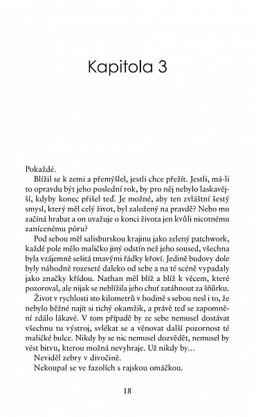 Náhled 99 dní s Tebou