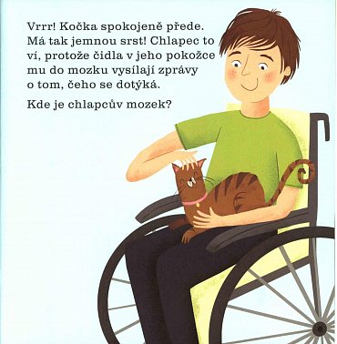 Náhled Lidské tělo - Posviť na to