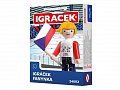 IGRÁČEK: Fanynka I. Hokej (2015)