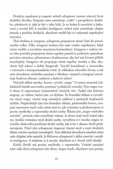 Náhled Rozbouřený mozek dospívání, teenageři a jejich výchova