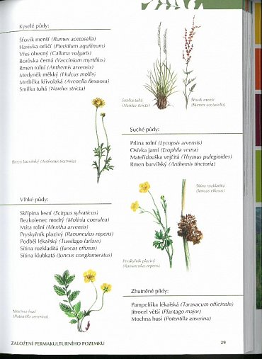 Náhled Zahrada k nakousnutí - Permakultura podle Seppa Holzera