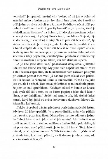 Náhled Kniha radosti - Jak být trvale šťastný v dnešním proměnlivém světě