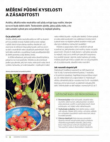 Náhled Moderní zahrada