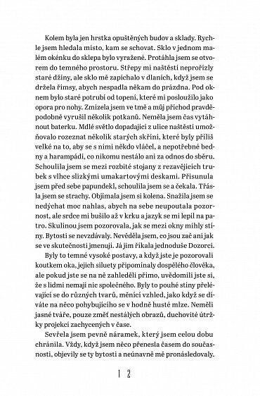 Náhled Střípky času