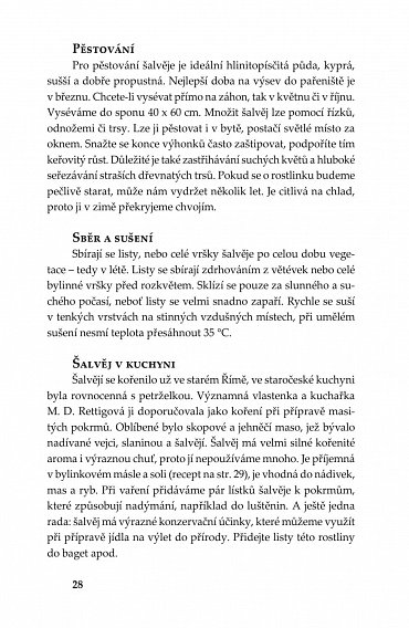 Náhled Bylinky - Léčivá moc přírody, 2.  vydání