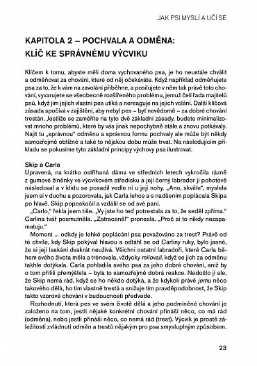 Náhled Pozitivní metody výchovy psa