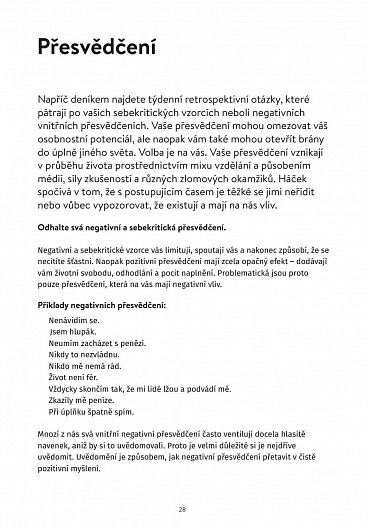 Náhled Zápisník úspěchů