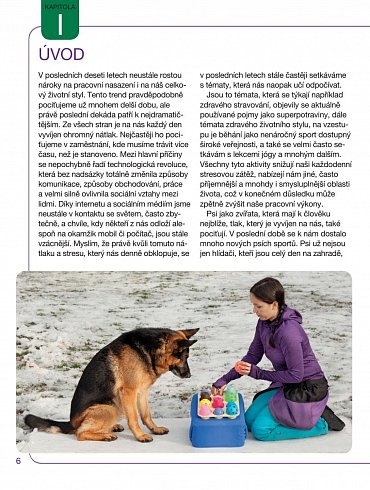 Náhled Hersenwerk pro psy - Psí hlavolamy