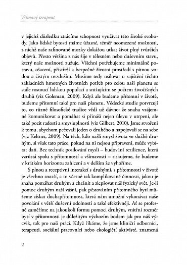 Náhled Všímavý terapeut - Vnitřní nazírání a nervová integrace - příručka pro klinickou praxi