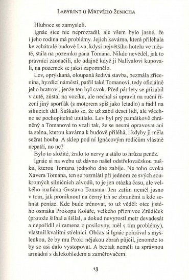 Náhled Labyrint u Mrtvého ženicha