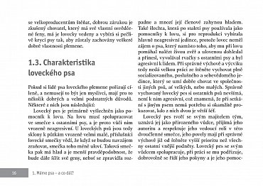 Náhled Výcvik psů loveckých plemen