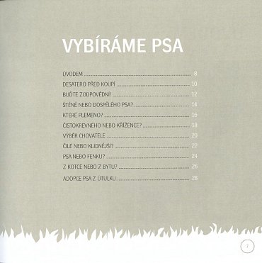 Náhled Od štěněte ke psu - Jak nenásilně vychovat skvělého společníka