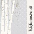Zulejka otevírá oči - 2 CDmp3 (Čte Lukáš Hlavica)