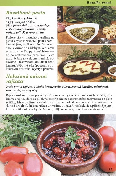 Náhled Bylinky na talíři i v domácím léčení