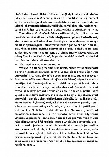 Náhled Přítoky románů