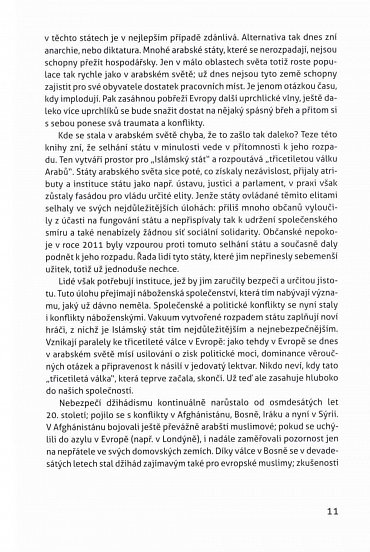 Náhled Konečná stanice Islámský stát? - Selhání státu a náboženská válka v arabském světě