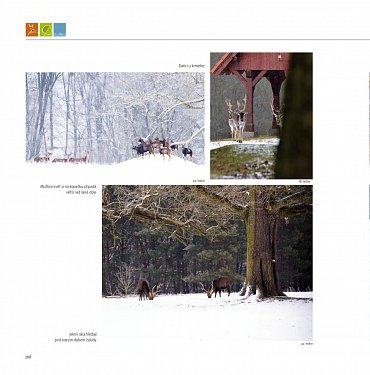 Náhled Lánská obora v proměnách času